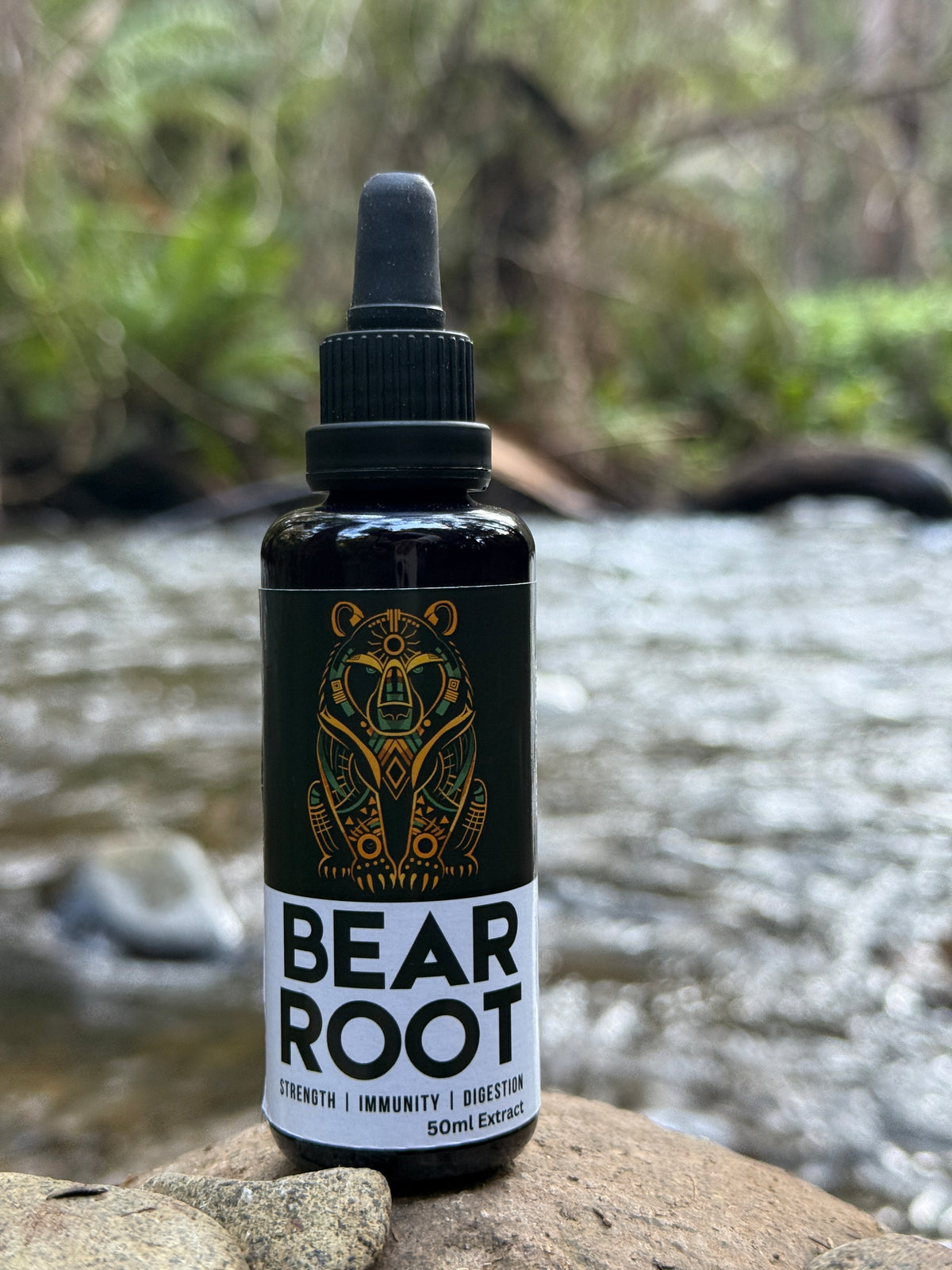 Bear Root - Osha Root Tincture (Ligusticum porteri)