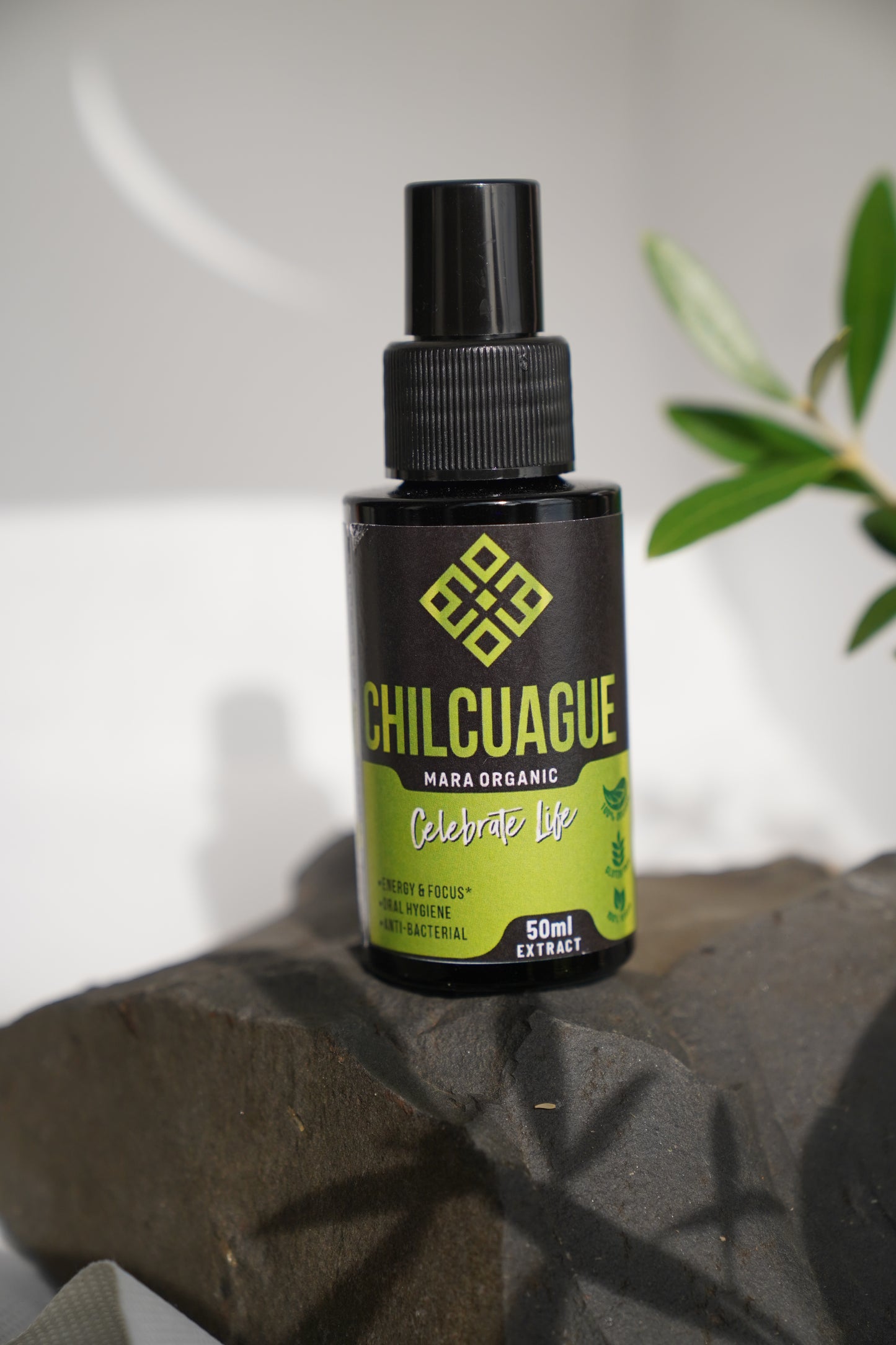 Chilcuague 3 Pack