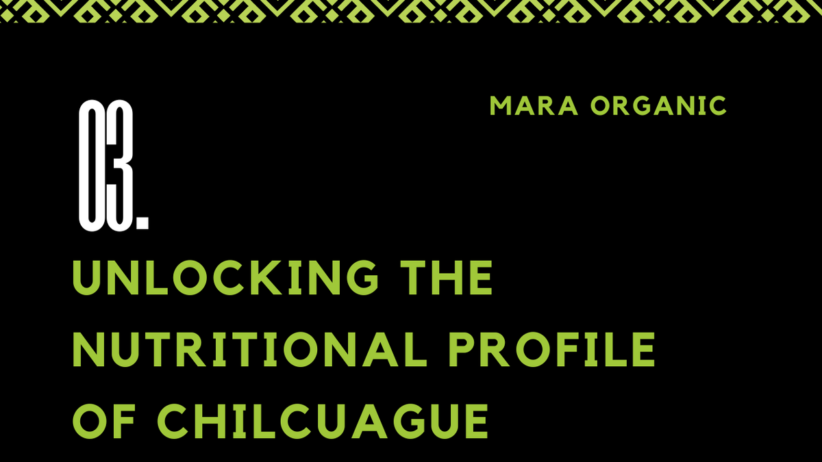 03. Unlocking the Nutritional Profile of Chilcuague