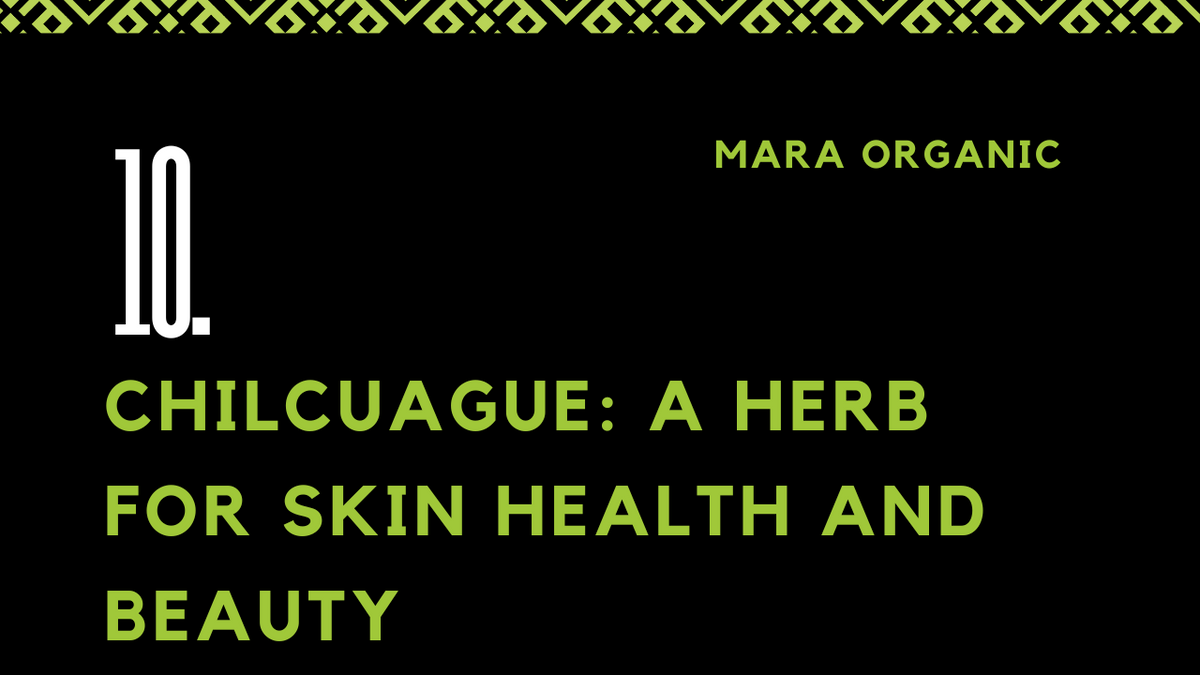 10 Chilcuague: A Herb for Skin Health and Beauty
