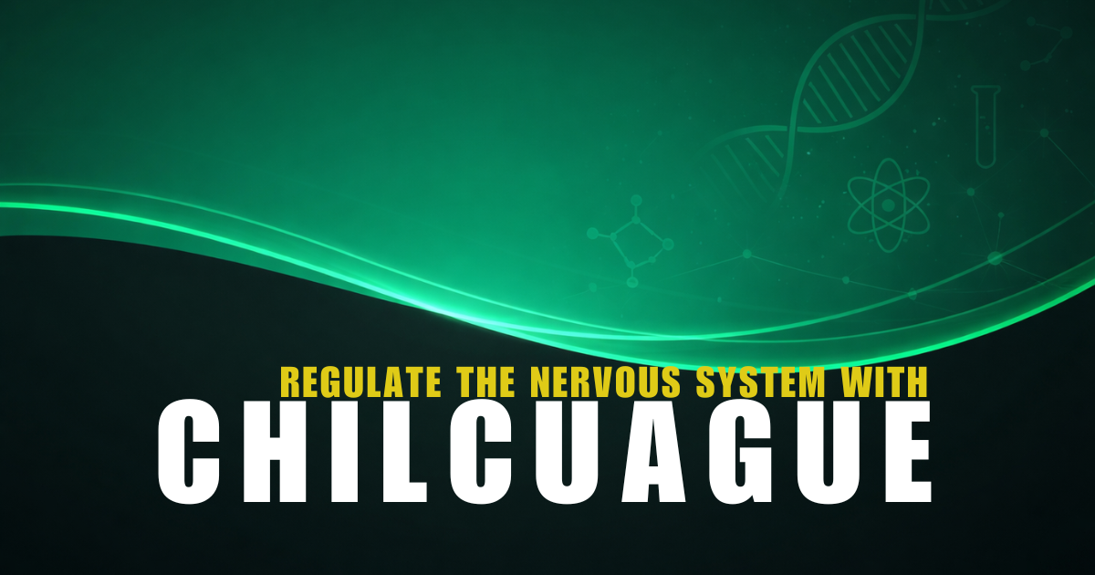 Chilcuague Healing Benefits. Can it help to regulate the Nervous System?