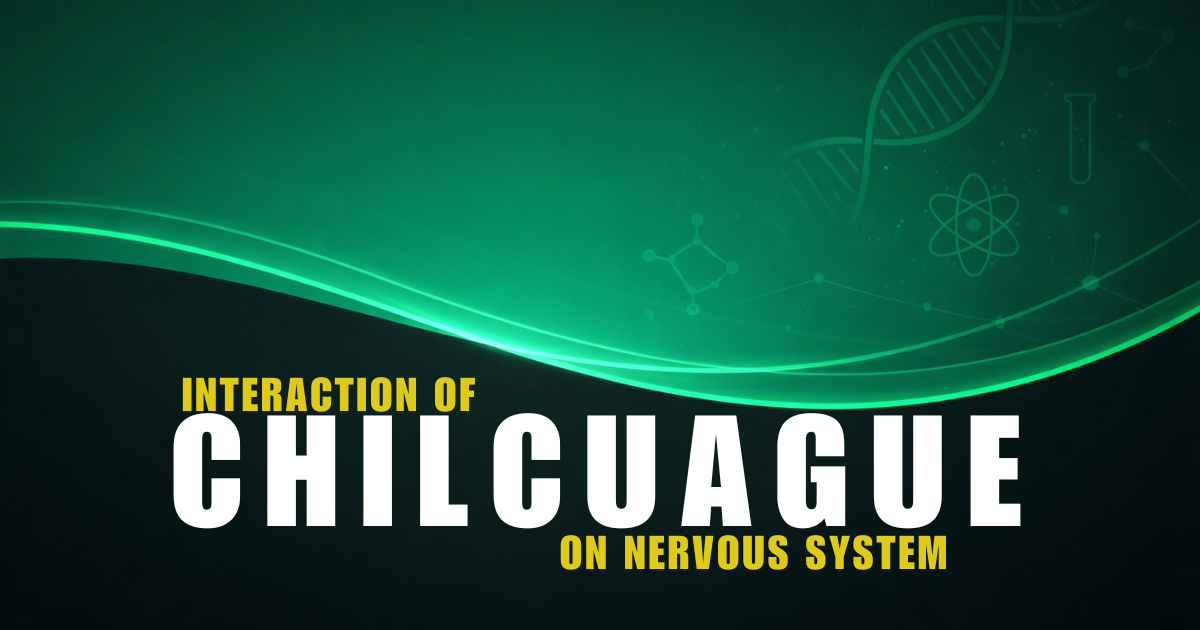 How Chilcuague Interacts With Oral Sensory Nerves During Stress and Hyper-Arousal