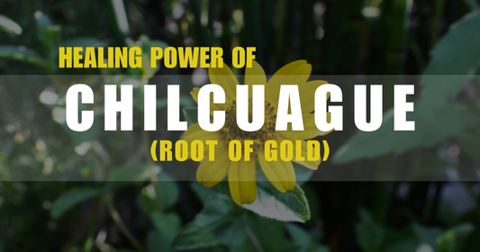 The Healing Power of Chilcuague: Exploring Its Many Benefits