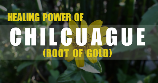 The Healing Power of Chilcuague: Exploring Its Many Benefits