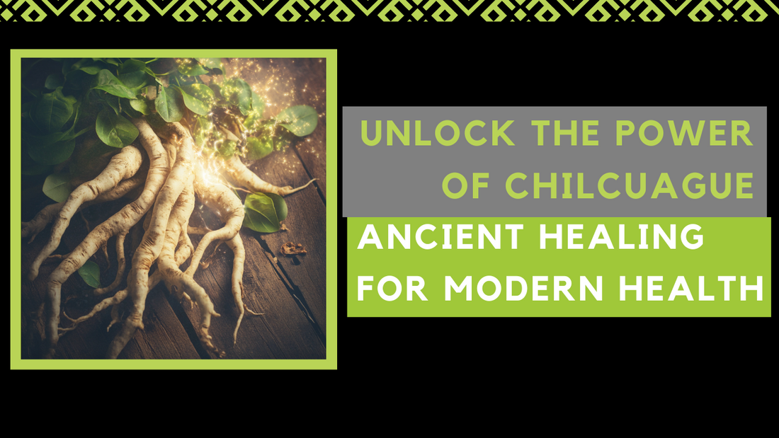 Unlock the Secret Healing Power of Chilcuague: Discover How This Ancient Root Transforms Your Health