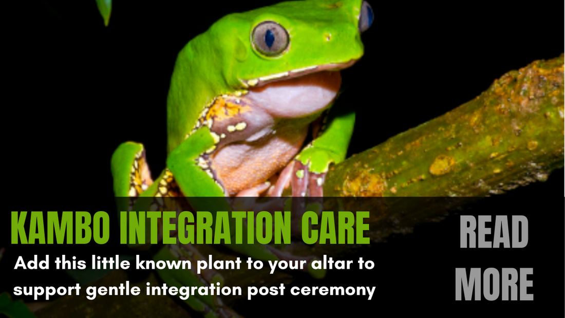 Kambo Integration For Practitioners & Clients: A Powerful Post-Ceremony Tool