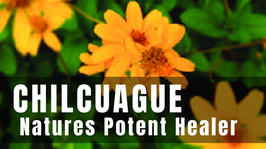 Nature’s Most Potent Healer (That You’ve Never Heard Of)