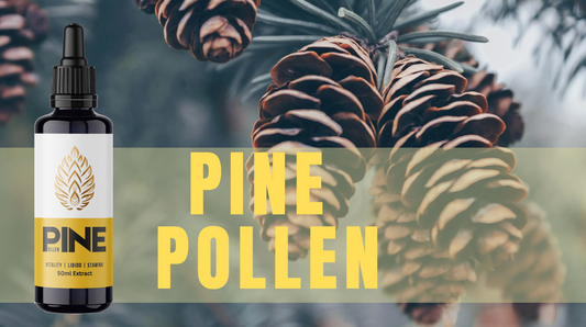 Awakening the Spirit with Pine Pollen: The Ancient Elixir of Vitality