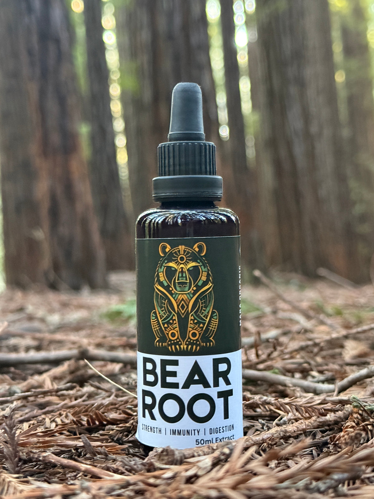 Bear Root - Osha Root Tincture (Ligusticum porteri)