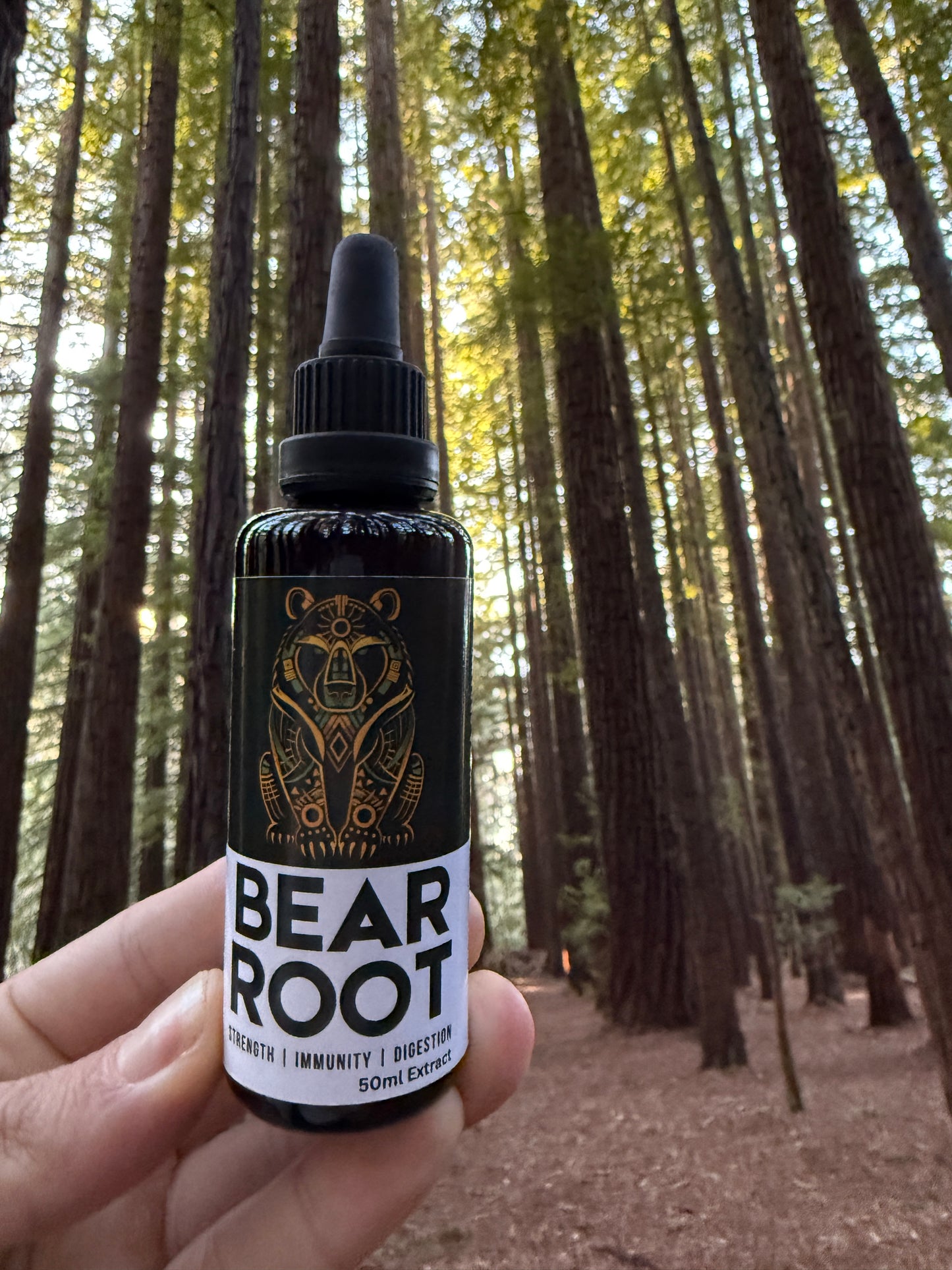 Bear Root