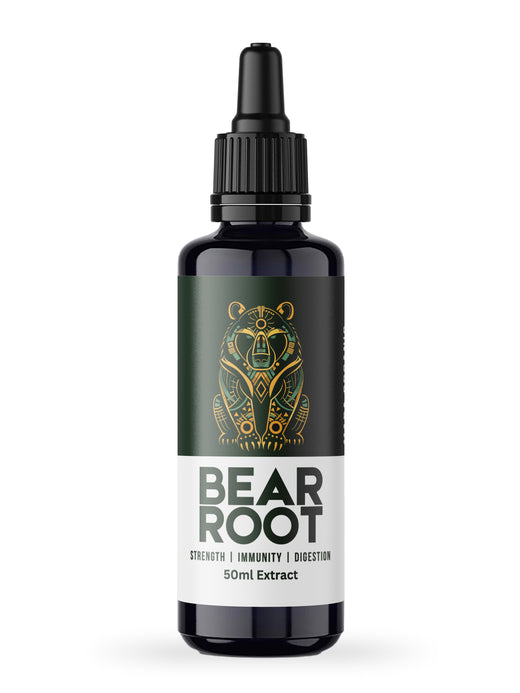Bear Root osha root tincture, 50 ml dropper bottle