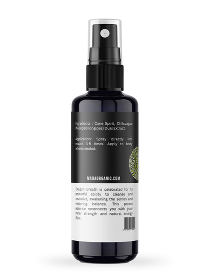Dragon Breath : Chilcuague 50ml